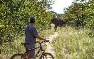 Mountain biking with Imvelo Safari Lodges near Jozibanini Camp, Hwange