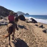 Horseback riding Todos Santos Eco Adventures