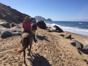 Horseback riding Todos Santos Eco Adventures