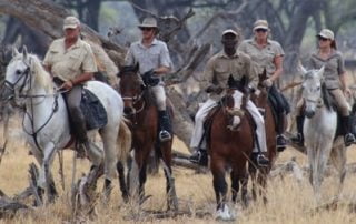 Horse Safari Hwange National Park Zim