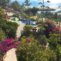 Los Colibris Casitas view Todos Santos Eco Adventures