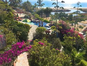 Los Colibris Casitas view Todos Santos Eco Adventures