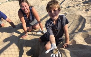 Sea Turtle Release Baja Todos Santos Family