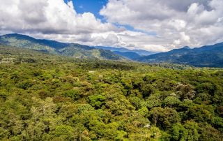 Amazon Ecuador Tropic Journeys Overlan