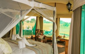 Family safari suite at Bomani Tented Lodge