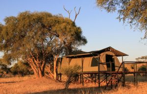 Jozibanini Camp tents adventure safari Hwange Imvelo