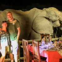 Epic elephant photo Nehimba Lodge deck