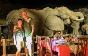 Epic elephant photo Nehimba Lodge deck