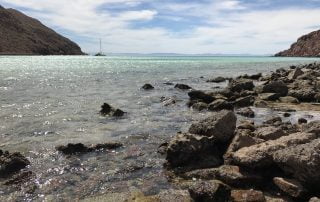 Colossus Camping view with Todos Santos Eco Adventures by Crystal Viks