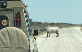 Ultimate Safaris_rhino in Etosha National Park