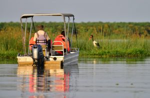 Birdwatching in Murchison Falls NP