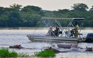 Game viewing in Murchison Falls NP on a Kingfisher boat