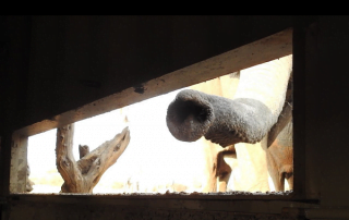 A curious elephant checks out the hide at Jozibanini Camp