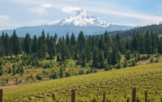 First-nature-mt-hood-oregon