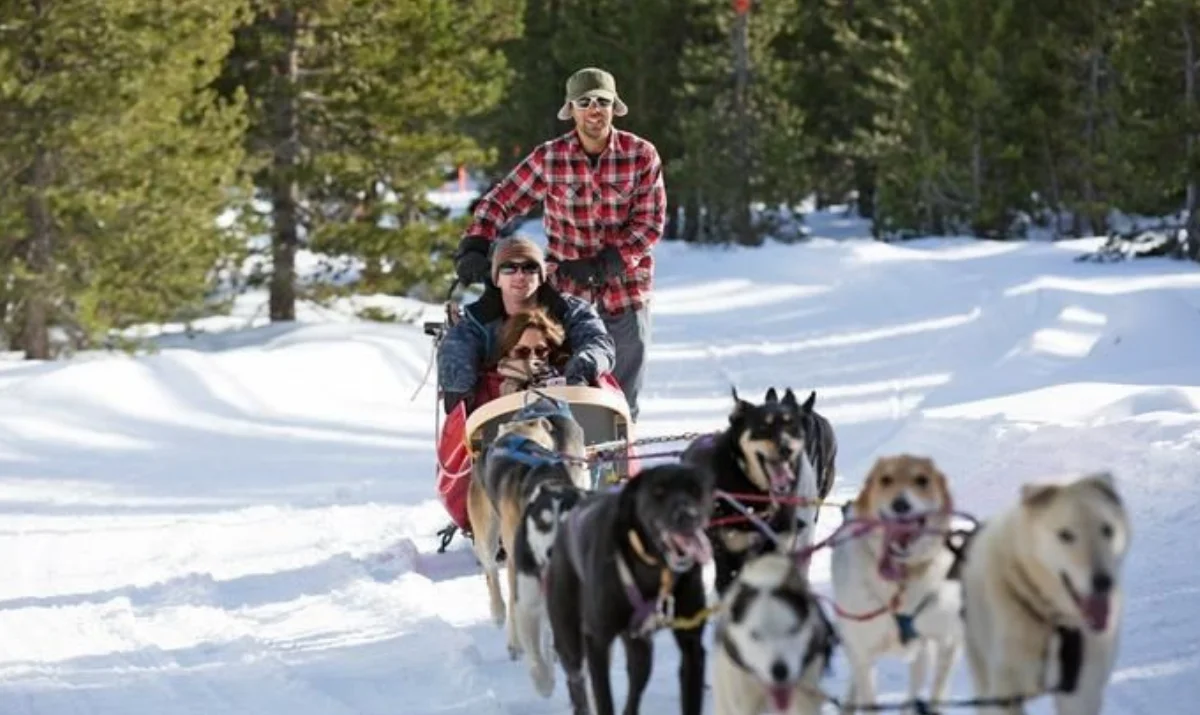 dog-sledding-oregon-first-nature-featured-image