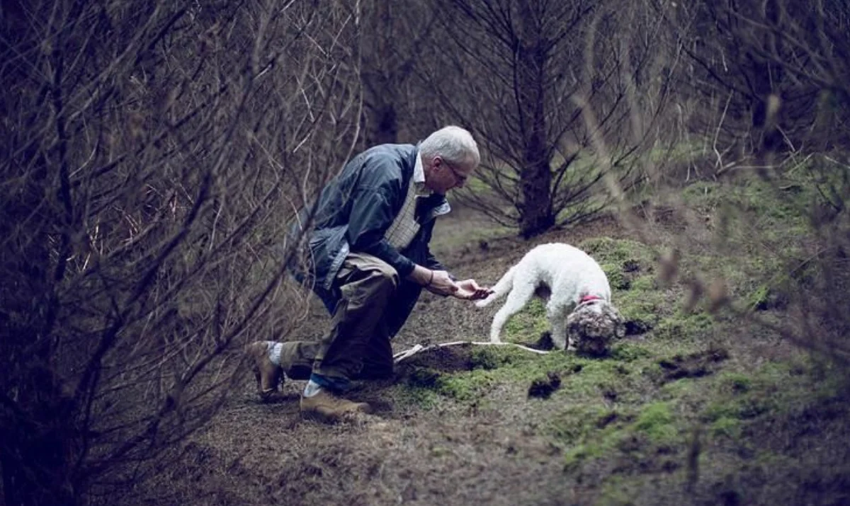 truffle-festival-oregon-first-nature-featured-image