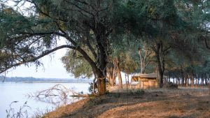 Classic Zambia - Lower Zambezi - Breakfast