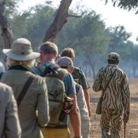 Classic Zambia - lower zambezi - kutali - walking safari