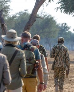 Classic Zambia - lower zambezi - kutali - walking safari